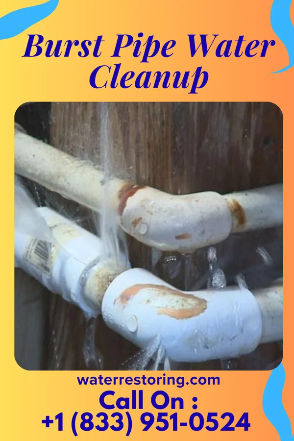 Burst Pipe Water Cleanup in Union City, OK
